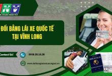 Đổi bằng lái xe quốc tế tại Vĩnh Long