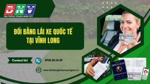 Đổi bằng lái xe quốc tế tại Vĩnh Long