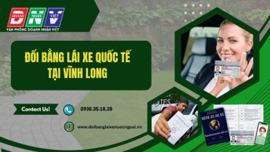 Đổi bằng lái xe quốc tế tại Vĩnh Long