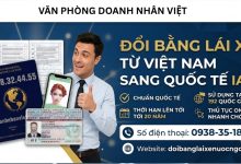 Đổi bằng lái xe từ Việt Nam sang quốc tế IAA
