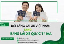 Đổi bằng lái xe Việt Nam sang bằng lái xe quốc tế