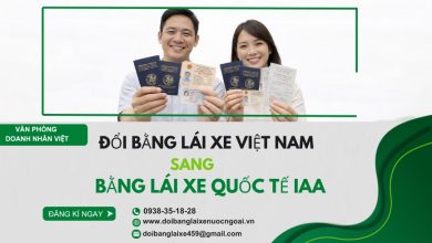 Đổi bằng lái xe Việt Nam sang bằng lái xe quốc tế