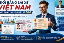 Đổi bằng lái xe Việt Nam sang bằng lái xe quốc tế IAA