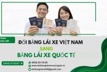 Đổi bằng lái xe Việt Nam sang bằng lái xe quốc tế