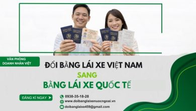 Đổi bằng lái xe Việt Nam sang bằng lái xe quốc tế