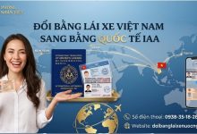 Đổi bằng lái xe Việt Nam sang bằng quốc tế IAA