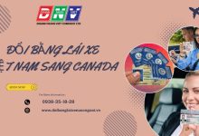 Đổi bằng lái xe Việt Nam sang Canada