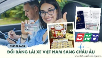 Đổi bằng lái xe Việt Nam sang Châu Âu