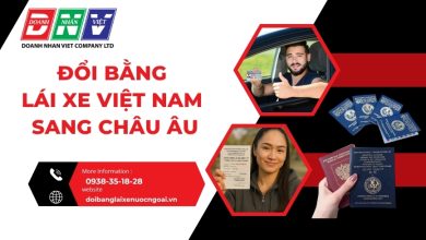 Đổi bằng lái xe Việt Nam sang Châu Âu
