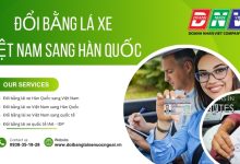 Đổi bằng lái xe Việt Nam sang Hàn Quốc