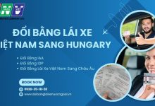 Đổi bằng lái xe Việt Nam sang Hungary