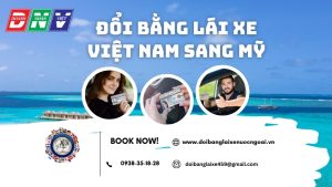 Đổi bằng lái xe Việt Nam sang Mỹ