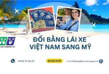 Đổi bằng lái xe Việt Nam sang Mỹ