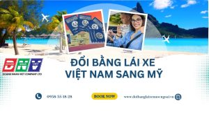 Đổi bằng lái xe Việt Nam sang Mỹ