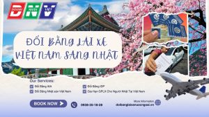Đổi bằng lái xe Việt Nam sang Nhật