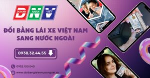 Đổi bằng lái xe Việt Nam sang nước ngoài