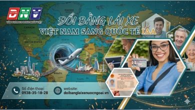 Đổi bằng lái xe Việt Nam sang quốc tế IAA