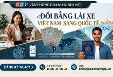 Đổi bằng lái xe Việt Nam sang quốc tế online