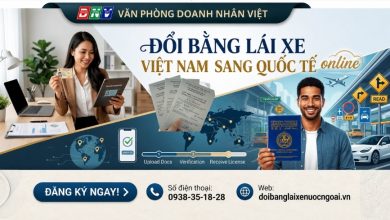 Đổi bằng lái xe Việt Nam sang quốc tế online