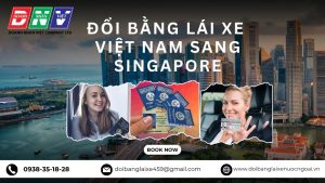 Đổi bằng lái xe Việt Nam sang Singapore