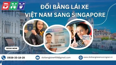 Đổi bằng lái xe Việt Nam sang Singapore