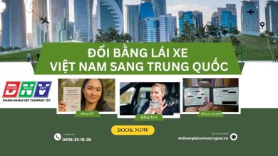 Đổi bằng lái xe Việt Nam sang Trung Quốc