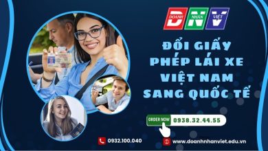 Đổi giấy phép lái xe Việt Nam sang quốc tế