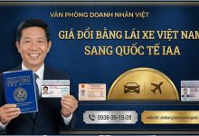 Giá đổi bằng lái xe Việt Nam sang quốc tế IAA