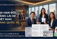 Gia hạn đổi bằng lái xe Việt Nam sang quốc tế