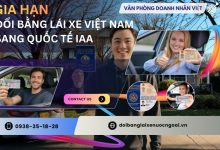 Gia hạn đổi bằng lái xe Việt Nam sang quốc tế IAA