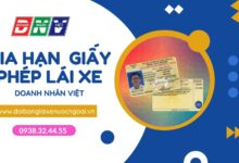 Gia hạn giấy phép lái xe