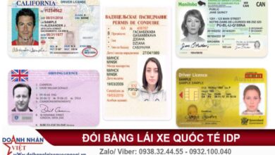 Gia hạn giấy phép lái xe cho người nước ngoài