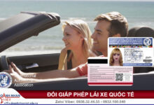 GPLX quốc tế