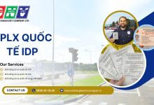 GPLX quốc tế IDP
