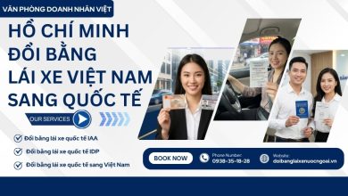 Hồ Chí Minh Đổi bằng lái xe Việt Nam sang quốc tế