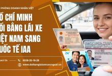 Hồ Chí Minh đổi bằng lái xe Việt Nam sang quốc tế IAA