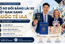 Hồ sơ đổi bằng lái xe Việt Nam sang quốc tế IAA