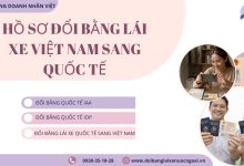 Hồ sơ đổi bằng lái xe Việt Nam sang quốc tế