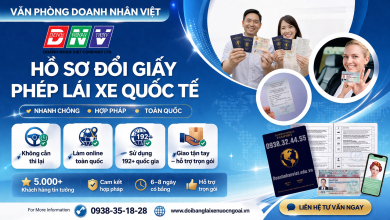 Hồ sơ đổi giấy phép lái xe quốc tế