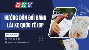 Hướng dẫn đổi bằng lái xe quốc tế IDP