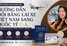 Hướng dẫn đổi bằng lái xe Việt Nam sang quốc tế IAA
