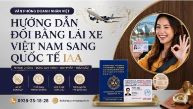 Hướng dẫn đổi bằng lái xe Việt Nam sang quốc tế IAA
