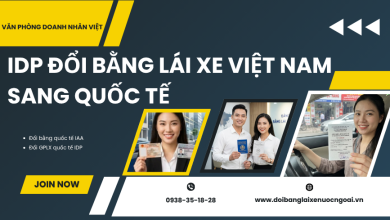 IDP đổi bằng lái xe Việt Nam sang quốc tế