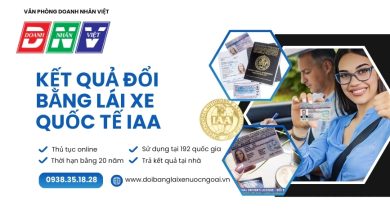 Kết quả đổi bằng lái xe quốc tế IAA