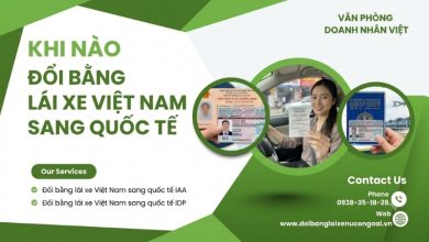 Khi nào đổi bằng lái xe Việt Nam sang quốc tế