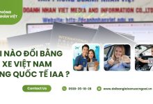 Khi nào đổi bằng lái xe Việt Nam sang quốc tế IAA