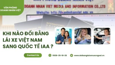 Khi nào đổi bằng lái xe Việt Nam sang quốc tế IAA