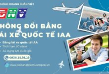 Không đổi bằng lái xe quốc tế IAA
