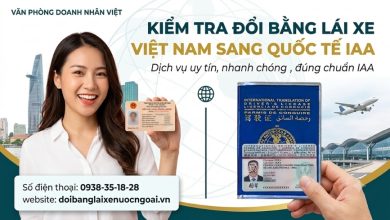 Kiểm tra đổi bằng lái xe Việt Nam sang quốc tế IAA