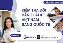 Kiểm tra đổi bằng lái xe Việt Nam sang quốc tế